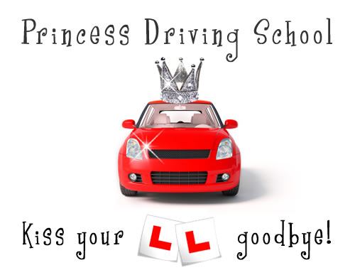 Princess Driving School